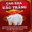 CAO XOA GẤU TRẮNG