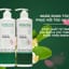 Dầu gội bưởi vitalycil