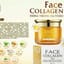 Face TN ngày collagen X3 đông trùng hạ thảo cty đông anh hàng chính hãng