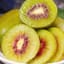 Kiwi Đỏ