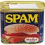 Thịt heo Spam Classic Hormel Foods hộp 340g