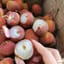 VẢI RỜI ( gửi từ dak lak