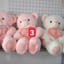 Gấu teddy 80cm
