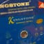 cắt gạch 250 kingtone