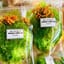 Miếng dứa rong biển mix khô gà