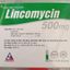 LINCOMYCIN 500mg ( VINPHACO)