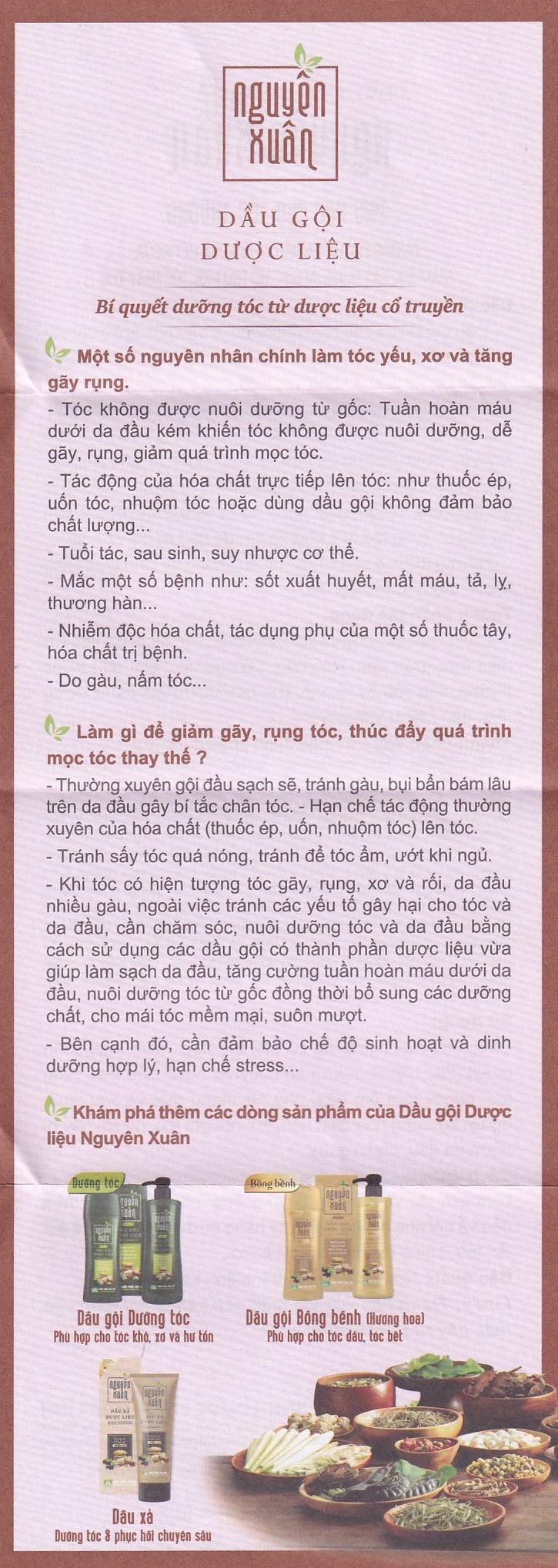 Dầu gội dược liệu Nguyên Xuân nâu giảm gãy rụng dành cho tóc thường (200ml)