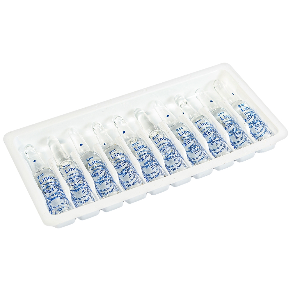 Thuốc tiêm Lincomycin Kabi điều trị nhiễm khuẩn nặng (50 ống x 2ml)