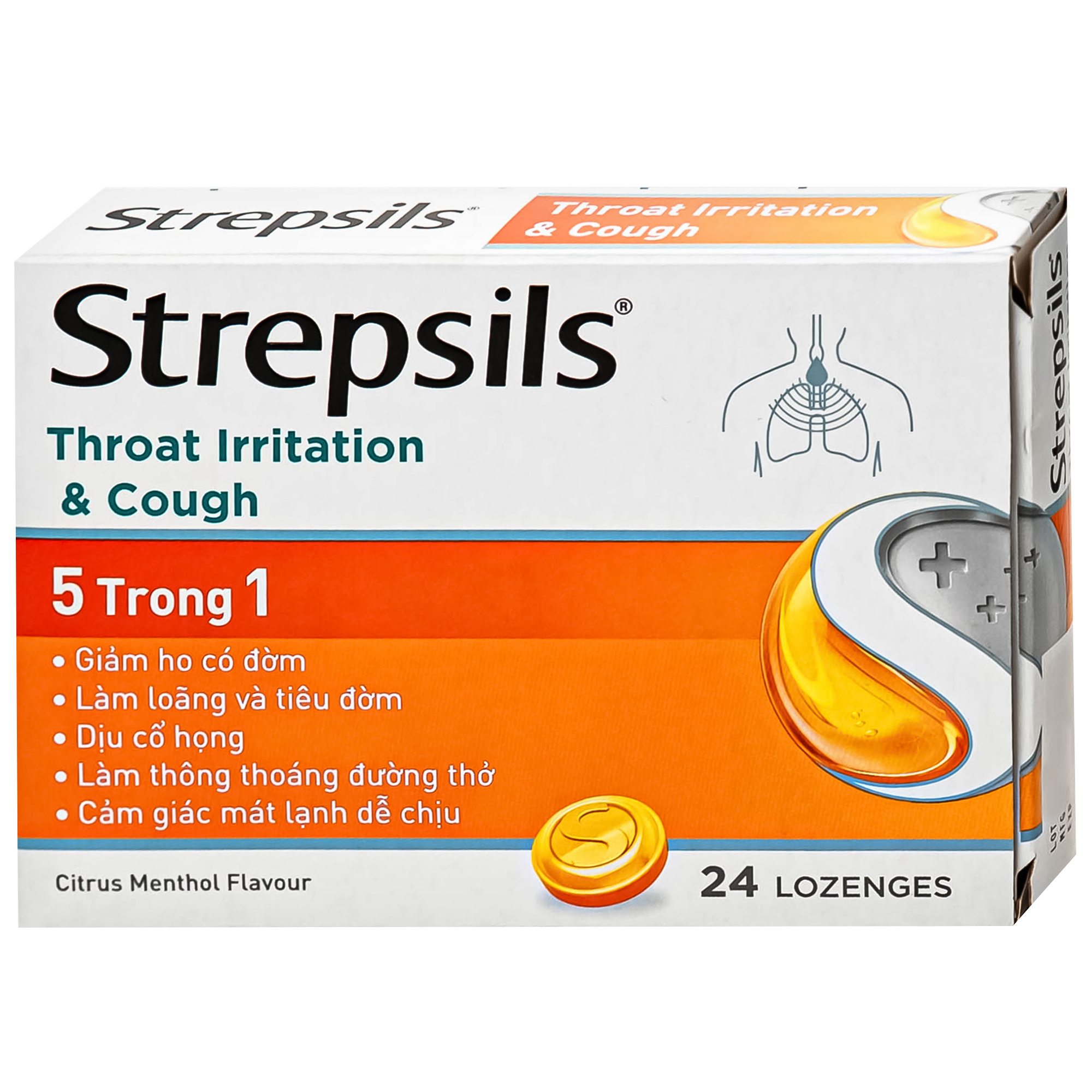 Viên ngậm Strepsils Throat Irritation &amp; Cough Reckitt Benckiser giúp làm sạch đường thở và kiểm soát ho (2 vỉ x 12 viên)
