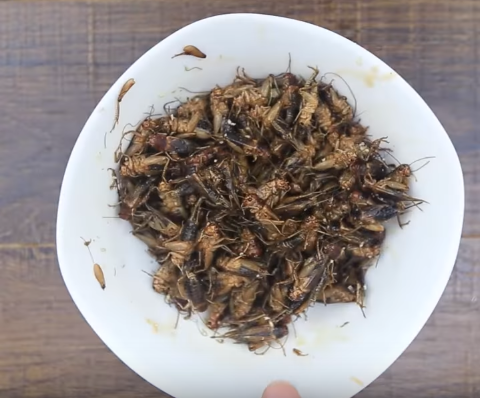 Ăn là ghiền với thạch đậu xanh cốt dừa thơm ngon mát lạnh