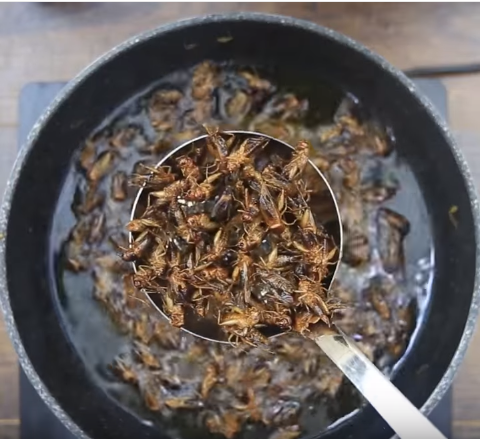 Ăn là ghiền với thạch đậu xanh cốt dừa thơm ngon mát lạnh