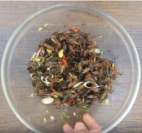 Ăn là ghiền với thạch đậu xanh cốt dừa thơm ngon mát lạnh