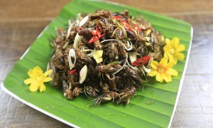 Ăn là ghiền với thạch đậu xanh cốt dừa thơm ngon mát lạnh