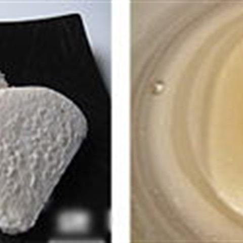 Cách làm bánh bao chiên giòn