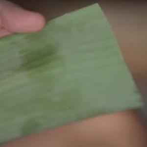 Cách làm bánh bò thốt nốt