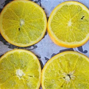 Cách làm bánh bông lan cam tươi