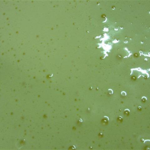 Cách làm bánh bông lan trứng nướng