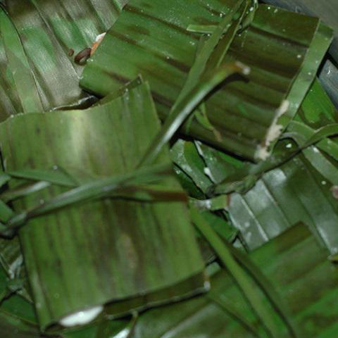 Cách làm bánh bột lọc tôm thịt nấm mèo