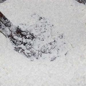 Cách làm bánh brownie ca cao