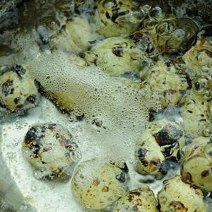 Cách làm bánh canh trứng cút