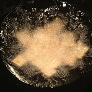 Cách làm bánh chiên mật ong