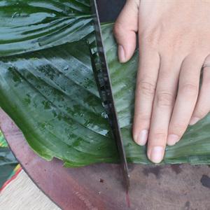 Cách làm bánh chưng cho ngày Tết