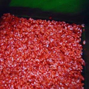 Cách làm bánh chưng gấc ngày Tết