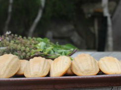 Bánh con sò vị quế-mật ong