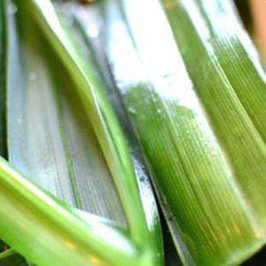 Cách làm bánh crepe lá dứa