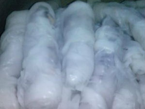 Bánh cuốn thịt bằm