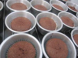 Bánh cupcake chocolate