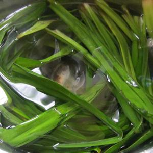 Cách làm bánh da lợn ngon