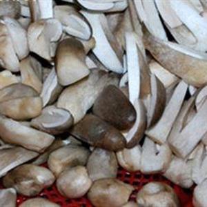 Cách làm bánh đậu hũ chiên