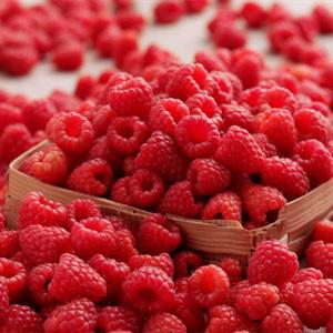 Cách làm bánh flan chocolate