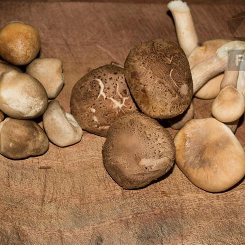 Cách làm bánh gạo xào chay cay