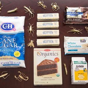 Cách làm bánh gato côn trùng rùng rợn