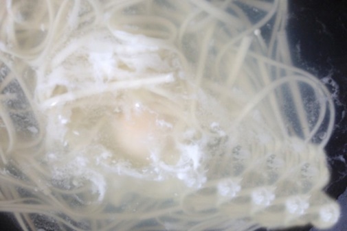 Bánh khoai lang chiên tẩm dừa thơm bùi ngọt ngào, ngon đến ngỡ ngàng