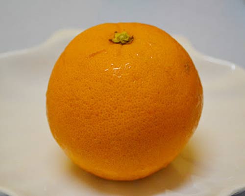 Bánh khoai lang thắt nút  Phiên bản siêu ngon, siêu dễ thương của khoai lang chiên mật ong