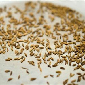 Cách làm bánh khoai tây chiên