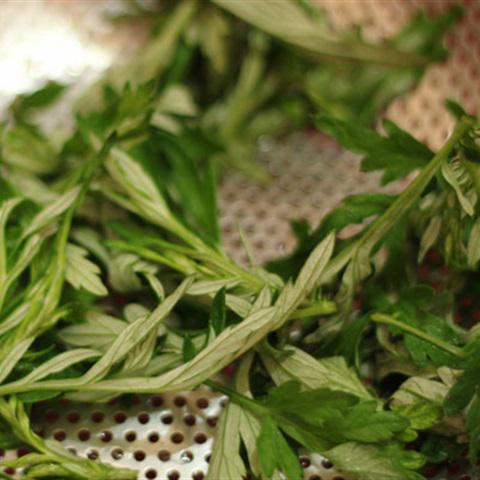 Cách làm bánh khoai tây chiên hình hoa lá