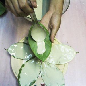 Cách làm bánh lá mít