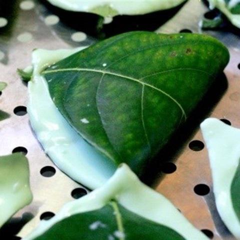 Cách làm bánh lá mơ