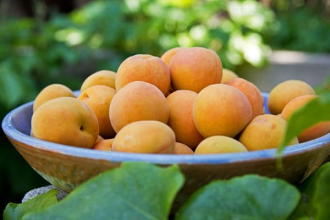 Bánh macaroon vỏ vân