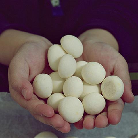 Cách làm bánh men vị sầu riêng