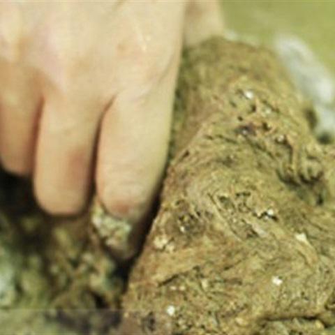 Cách làm bánh mì đen