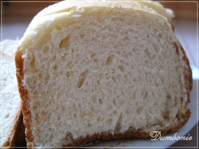 Bánh mì gối – Sandwich