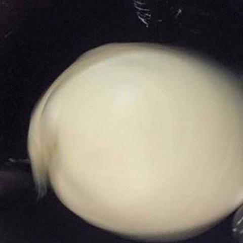 Cách làm bánh mì hoa cúc