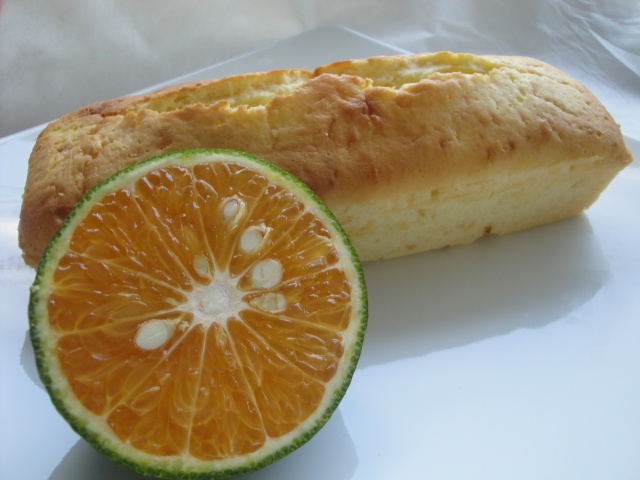 Bánh mì sữa chua cam