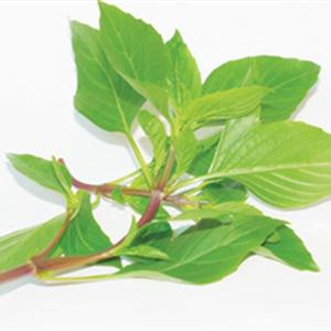 Cách làm bánh mì xíu mại