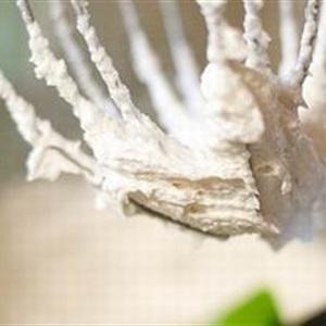 Cách làm bánh mứt táo vị quế